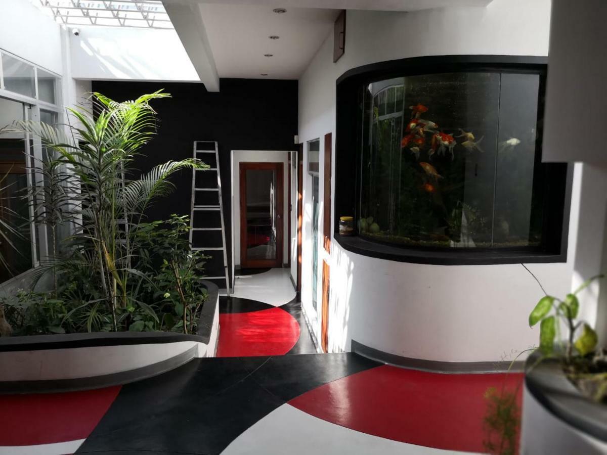 Apartments And Rooms Distecon Guatemala City Exterior foto