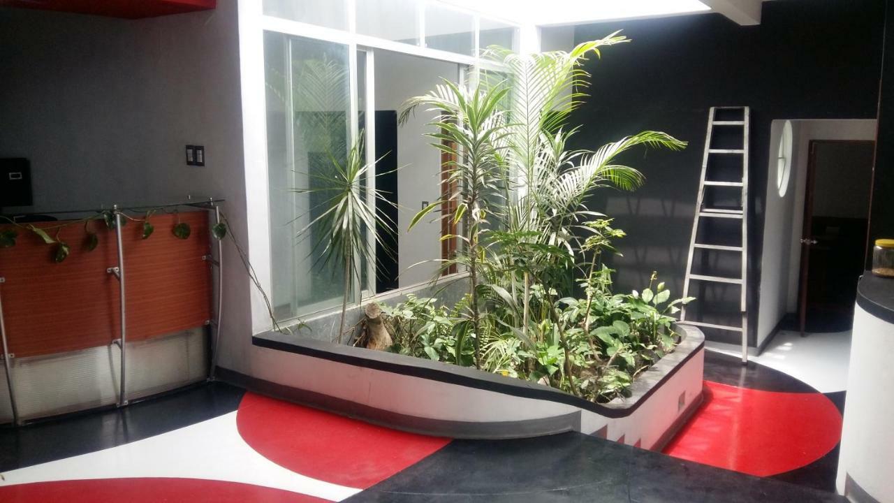 Apartments And Rooms Distecon Guatemala City Exterior foto
